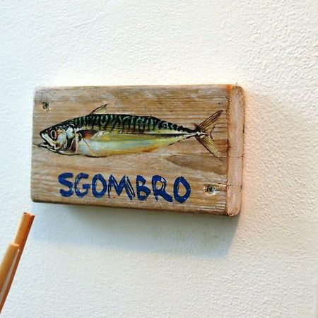 La Sciabbega B&B Porto Recanati Dış mekan fotoğraf